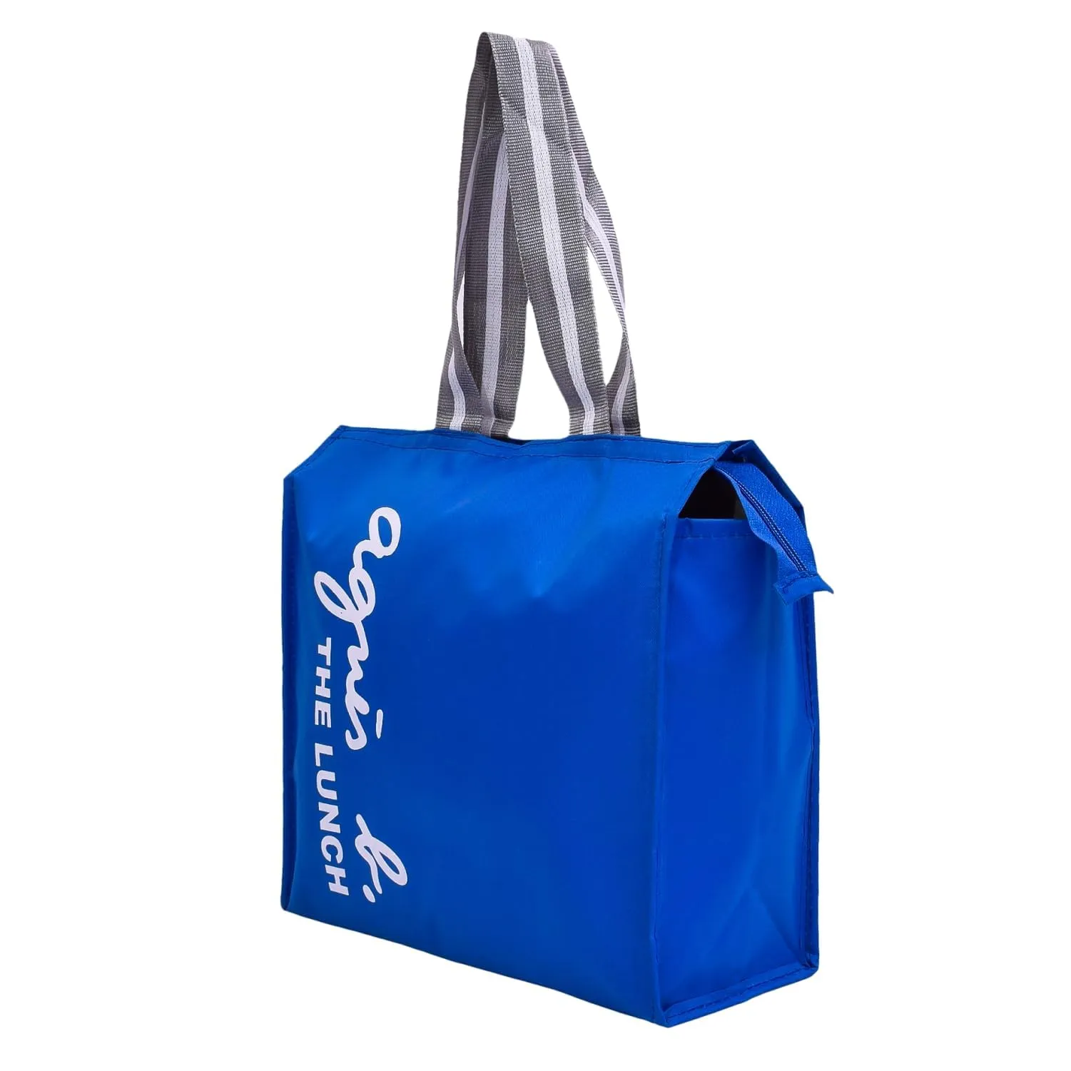 Heart Home Lunch Bag | Parachute Lunch Bag | Lunch Bag for Office | Lunch Bag for College | Lunch Bag for Adults | Zipper Lunch Bag with Handle | The Lunch Bag | Royal Blue