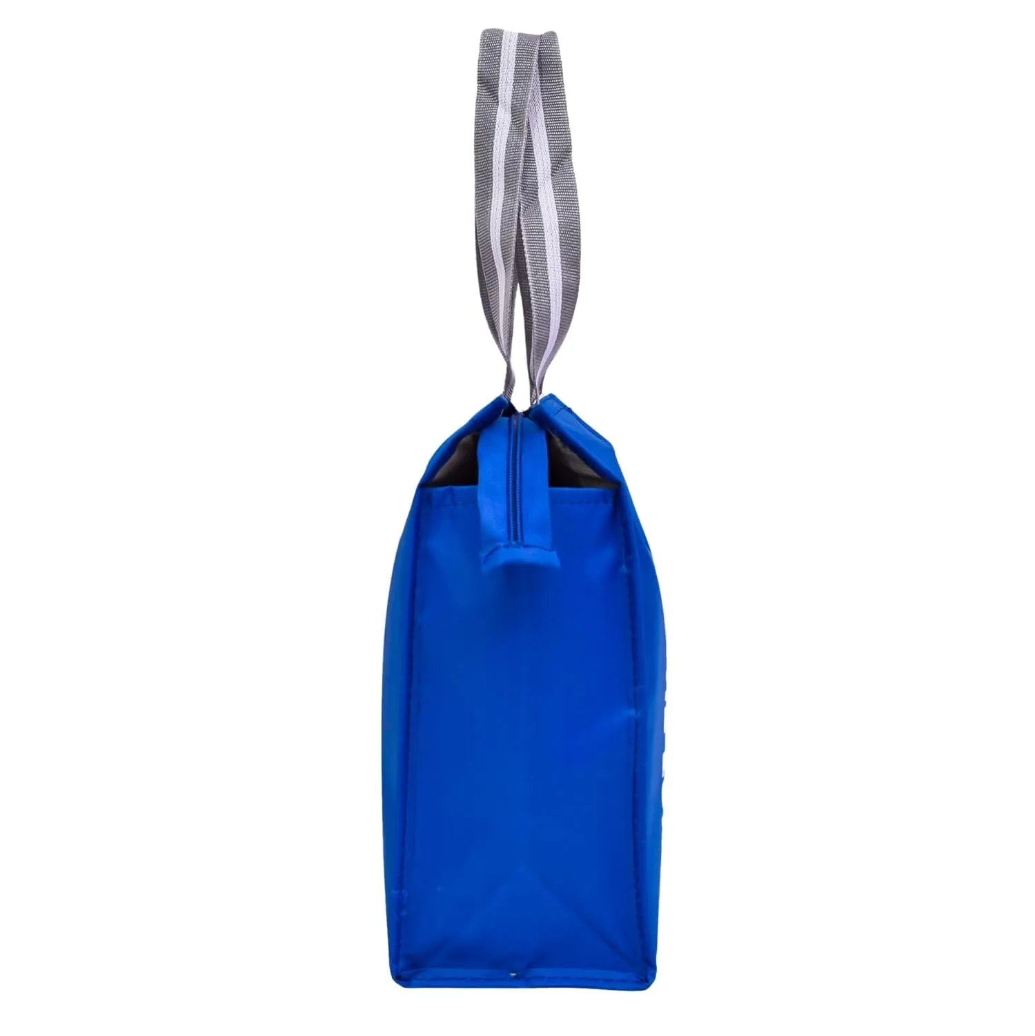 Heart Home Lunch Bag | Parachute Lunch Bag | Lunch Bag for Office | Lunch Bag for College | Lunch Bag for Adults | Zipper Lunch Bag with Handle | The Lunch Bag | Royal Blue